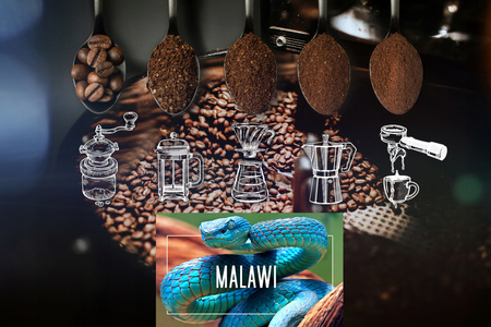 Kawa Ziarnista Świeżo Palona 100% Arabica Malawi 50G Do Ekspresu