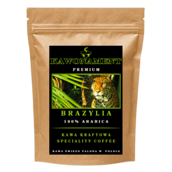 BRAZYLIA CERRADO Próbka 100g Mielona